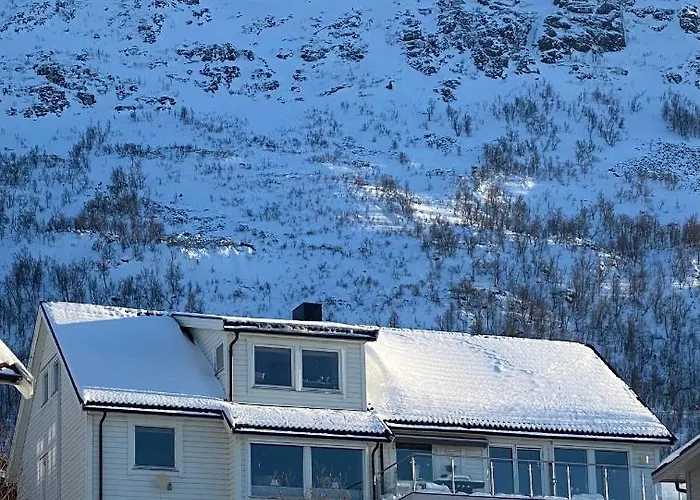 Polar Arctic View - Free Parking! Appartement