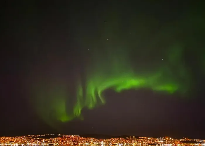 Polar Arctic View - Free Parking! *